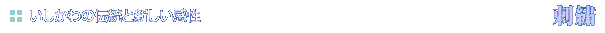̓`ƐV