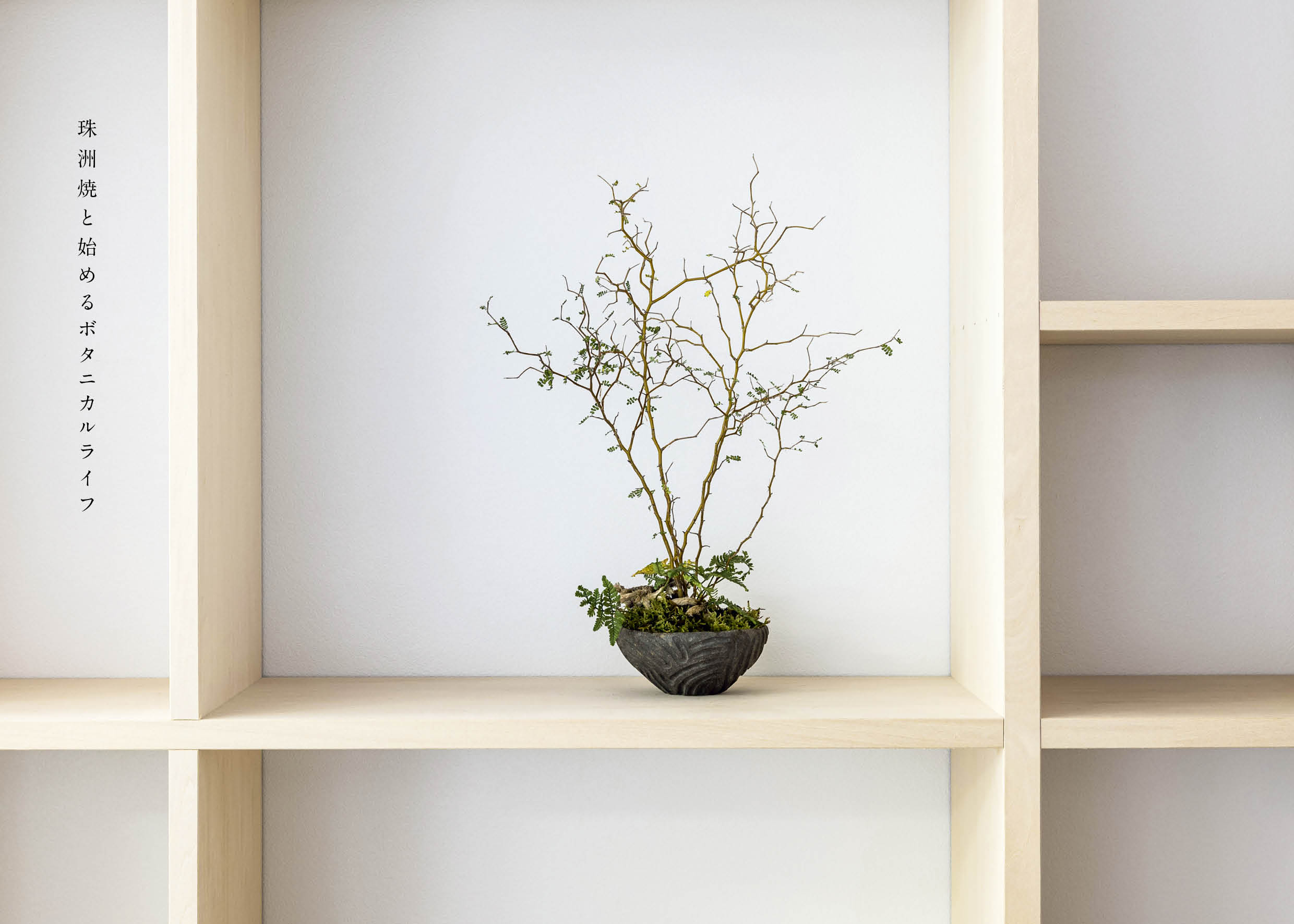 珠洲焼×植物