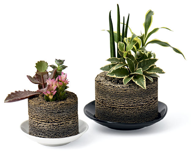 プラントポット『植彩インテリア Buddy MARU』