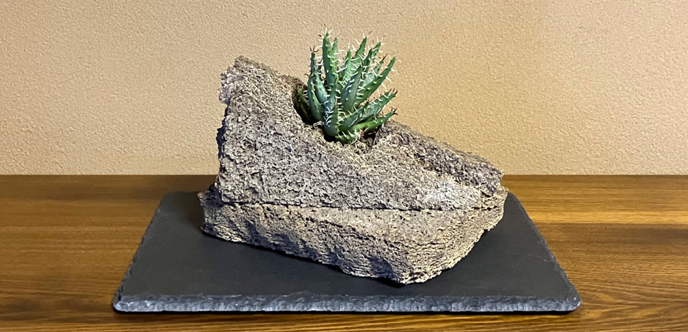 （株）トーケン